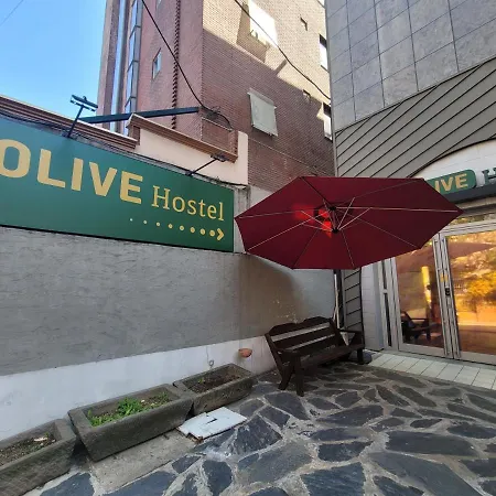 Olive Hostel Myeongdong-3